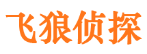 江城市婚姻调查